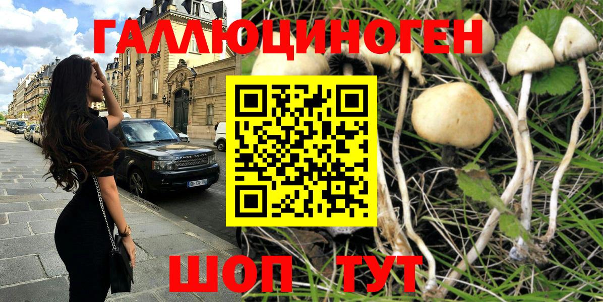 Галлюциногенные грибы мицелий Канаш