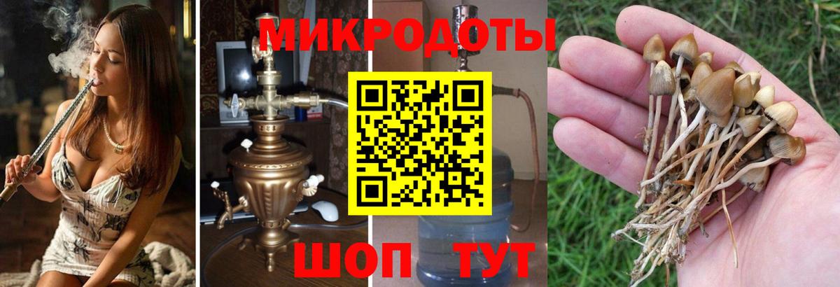 Галлюциногенные грибы прущие грибы  Вход с VPN  Галлюциногенные грибы Cubensis  Канаш 