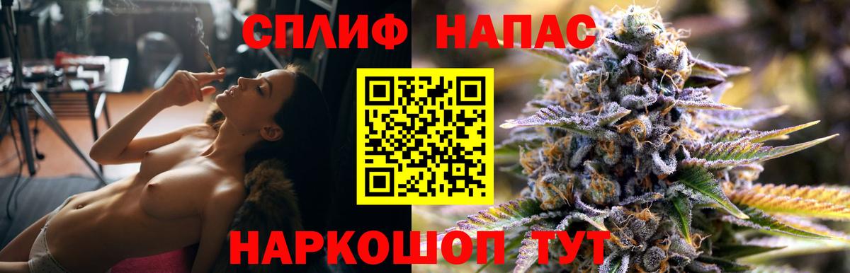 Каннабис гибрид Канаш